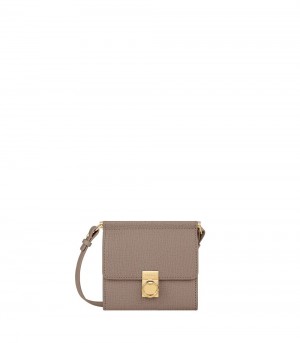 Polène Numéro Sept Crossbody 財布 グレー ブラウン | JAPAN I845DW